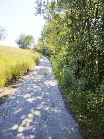 Fosa przed czyszczeniem.