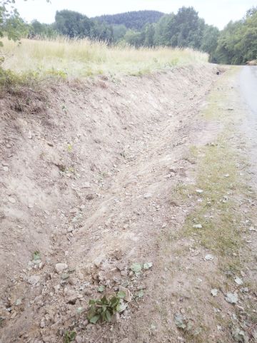 Fosa po czyszczeniu.